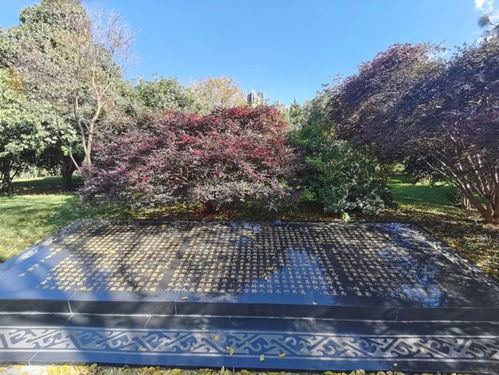 打卡石林精品紅色旅游路線(xiàn),帶你重溫崢嶸歲月