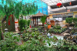 景泰鴻升生態(tài)園誠(chéng)聘大廚