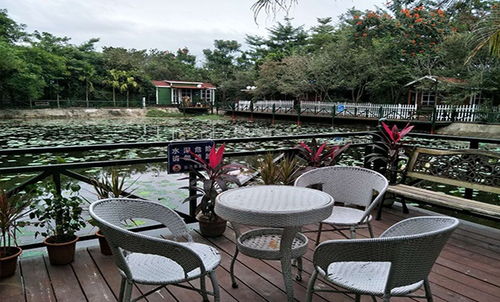 特色客棧專業團隊在線服務 海南荷花生態園