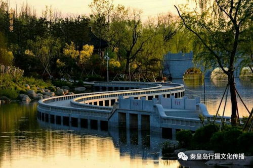 戴河生態園,秦皇島錦繡藍圖上的一條精美飄帶
