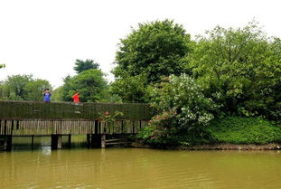 廣州南沙水鳥世界生態園
