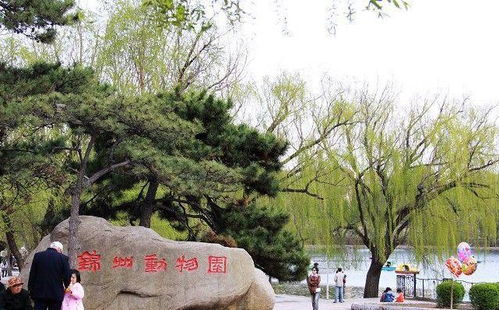 錦州動物園即將搬遷至三角山生態(tài)園內(nèi),已經(jīng)開始工程設計招標
