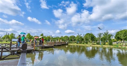 上海一周區情 旅游節69家景區門票半價 各區精品旅游線路等你來打卡