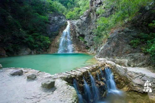 破局出圈，是每個人都該有的勇氣——九龍潭生態園啟示錄