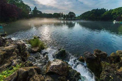 南京市野生動物生態園與九龍潭生態園 親子旅游首選景點